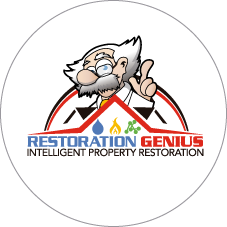 RESTORATION GENIUS